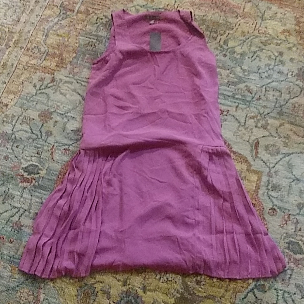 Tinley road fuscia pleat skirt dress xs nwt